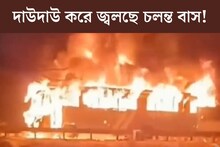 দাউ দাউ করে জ্বলে উঠল বাস, জীবন্ত দগ্ধ ১০! হরিয়ানায় মর্মান্তিক পরিণতি