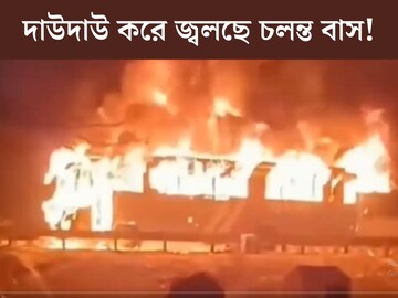 দাউ দাউ করে জ্বলে উঠল বাস, জীবন্ত দগ্ধ ১০! তীর্থ সেরে ফেরার পথে হরিয়ানায় মর্মান্তিক পরিণতি