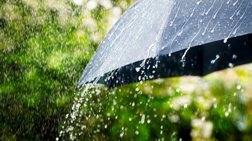 তবে মালদা, মুর্শিদাবাদ সহ বাকি জেলাতে আরও দু'দিন তাপপ্রবাহের সতর্কতা থাকছে! photo source collected 