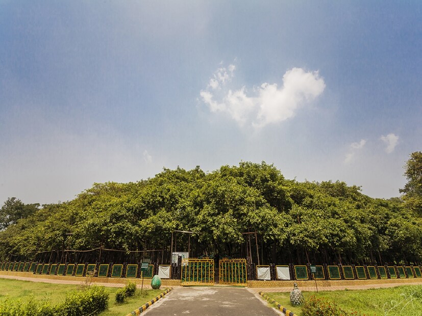 রানি ভিক্টোরিয়ার শাসনকালে এই উদ্যানটির নাম রাখা হয়েছিল রয়্যাল ইন্ডিয়ান বোটানিক্যাল গার্ডেন। ভারত স্বাধীন হওয়ার পর ১৯৬৩ সালে এই উদ্যানের নাম রাখা হয় ইন্ডিয়ান বোটানিক্যাল গার্ডেন। ২০০৯ সালে আবার গার্ডেনের নাম পাল্টে যায়। 