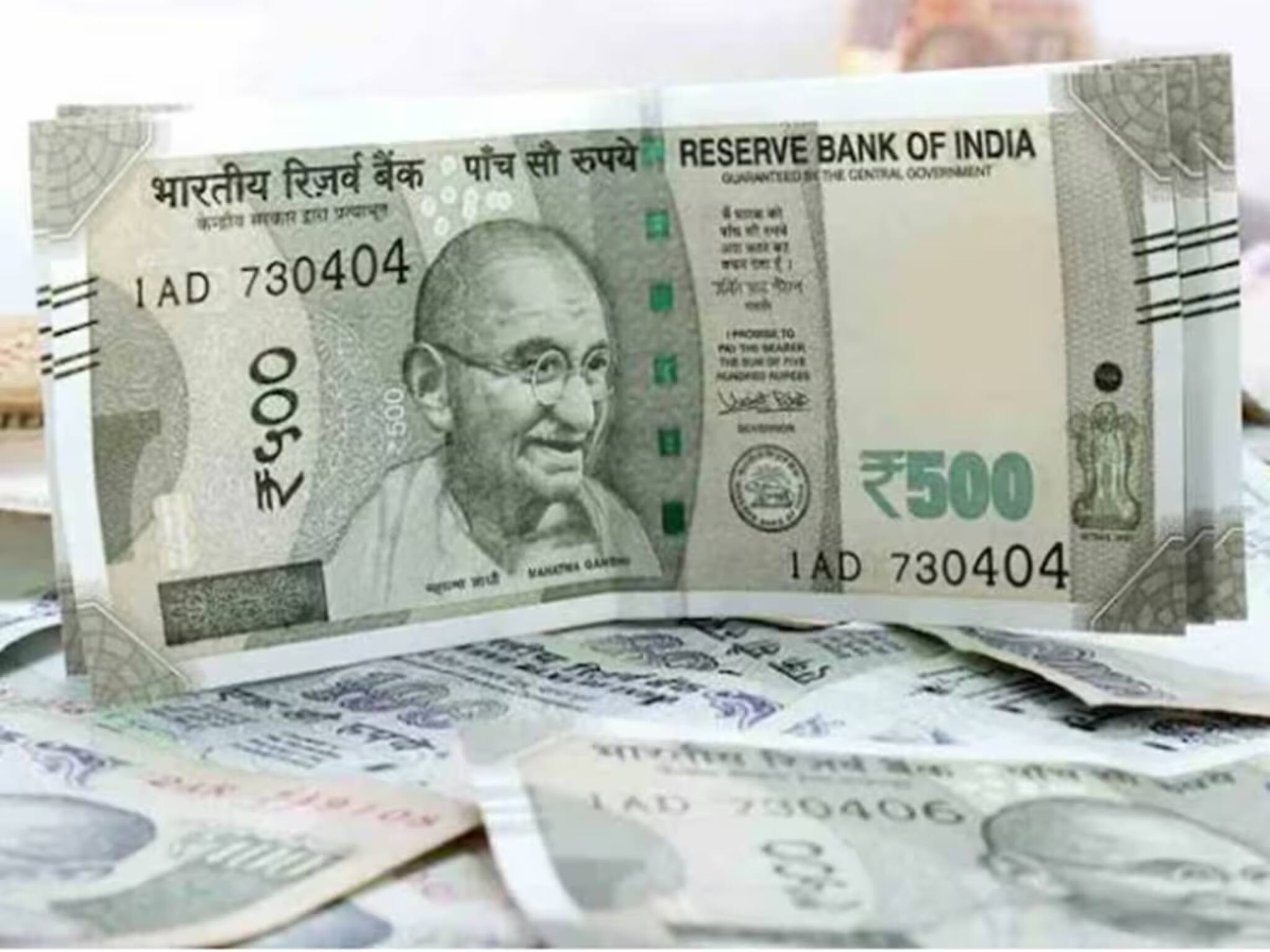 বাগান আছে বাড়িতে ? ফেলে না রেখে এই ভাবে সহজেই আয় করুন লক্ষ লক্ষ টাকা