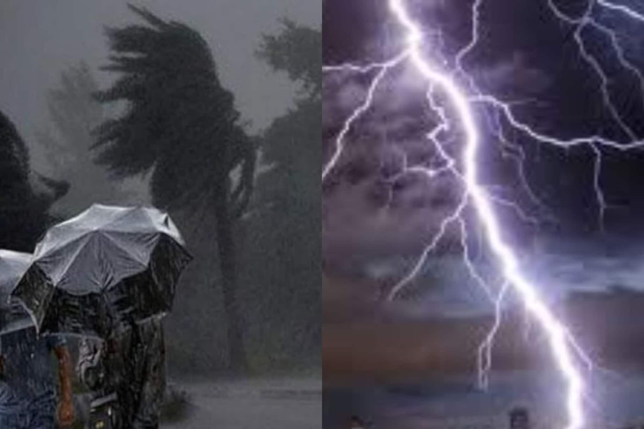 ঘূর্ণিঝড়ে আরও এক মৃত্যু! ঝড়ের পর বাইরে বেরতেই সব শেষ, বাড়ছে রিমলে বলির সংখ্যা