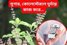 শরীর থেকে টেনে বার করে দেয় কোলেস্টেরল...সুগারেও ধন্বন্তরি! ১৫ দিনেই ম্যাজিক
