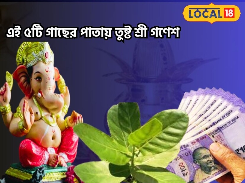  প্রচলিত বিশ্বাস অনুযায়ী, প্রতিটি শুভ কাজ শুরু করার আগে প্রথমে ভগবান শ্রী গণেশের পুজো করা হয়। বিঘ্নহর্তা ভগবান শ্রী গণেশের দূর্বা ঘাস অত্যন্ত প্রিয়। সেই কারণে ভগবান গণপতির পুজোর সময় অবশ্যই দূর্বা ঘাস নিবেদন করা হয়। তবে দূর্বা ঘাস ছাড়াও আরও ৫টি গাছের পাতা রয়েছে, যেগুলি তাঁর অত্যন্ত পছন্দের। অর্থাৎ ওই পাঁচটি গাছের পাতা ভগবান গণেশকে নিবেদন করলে তিনি তুষ্ট হন এবং ভক্তদের মনোবাঞ্ছা পূরণ করেন। উজ্জয়িনীর জ্যোতিষী রবি শুক্লার কাছ থেকে জেনে নেওয়া যাক সেই গাছগুলির সম্পর্কে।
