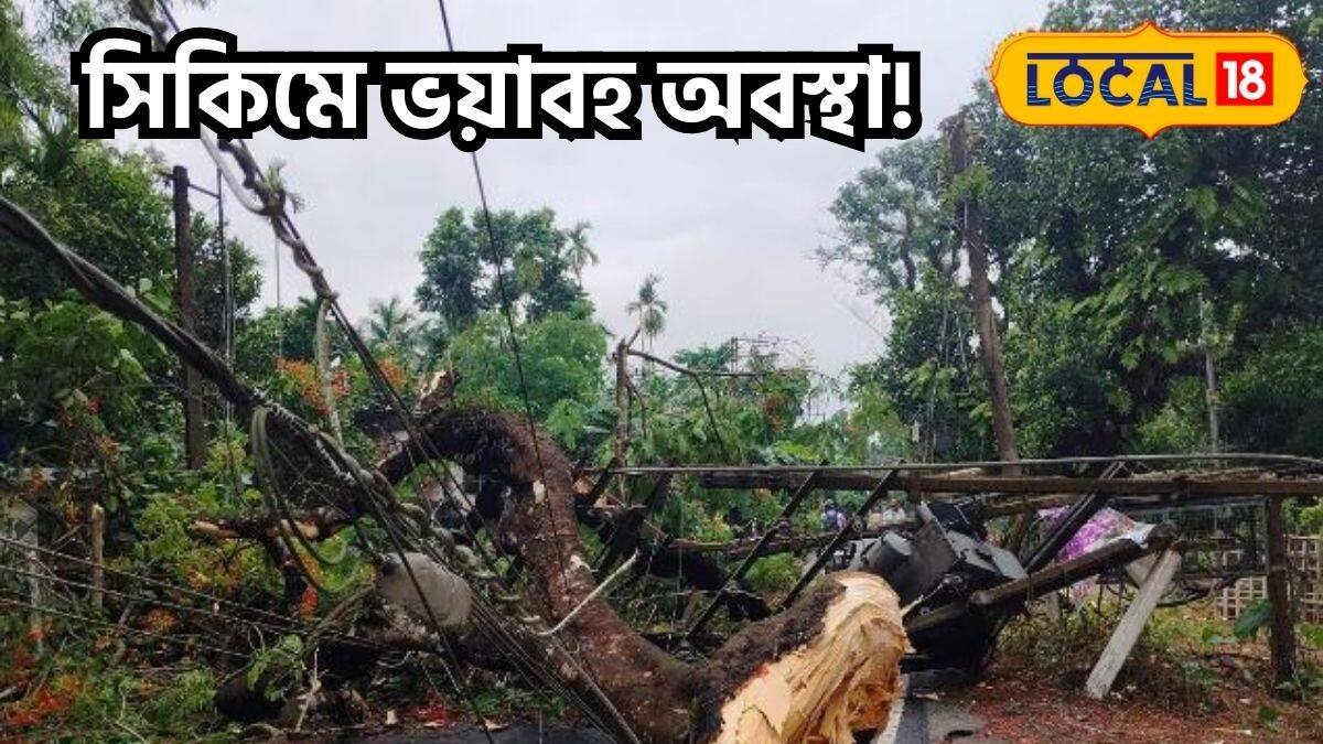 বিদ্যুতের তার ছিঁড়ে পড়ার কারণে বিদ্যুৎহীন অবস্থায় রয়েছে এই এলাকার ...