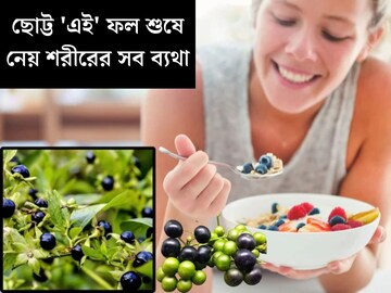 'এই' ফল শুষে নেয় শরীরের সব ব্যথা! ১ মাস খেলে জন্ডিস-সহ ৫ রোগ গোড়া থেকে নির্মূল