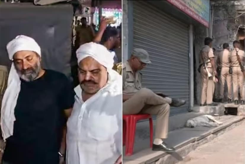 আবান ইংরেজিতে ৭৮, হিন্দিতে ৮২, ইতিহাস, নাগরিক বিজ্ঞান ও ভূগোলে মোট ৫৭, গণিতে ৩৪, সমাজবিজ্ঞানে ৪৯ এবং শরীরশিক্ষায় ৭৬ নম্বর পেয়েছেন। সেন্ট জোশেফ কলেজের অধ্যক্ষ জানিয়েছেন, আহজান আহমেদ এবং আবান আহমেদ ভাল ছাত্র। কঠোর পরিশ্রম করতেন। তাই দুজনেই পরীক্ষায় ভালভাবে উত্তীর্ণ হয়েছেন। বলে রাখা ভাল, আহজান এবং আবান, উভয়ই অফলাইন মোডে অর্থাৎ পরীক্ষা কেন্দ্রে গিয়ে পরীক্ষা দিয়েছেন। File Photo