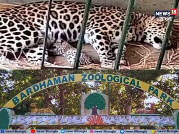 গরমে বন্যপ্রাণীদের জন্য নানা ব্যবস্থা বন দফতরের