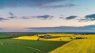 বেতন চার কোটি! বিনামূল্যে থাকার জন্য মিলবে প্রাসাদোপম বাড়িও, অথচ এই চাকরি কেউই করতে চাইছেন না; কিন্তু কেন? (Photo: Canva)