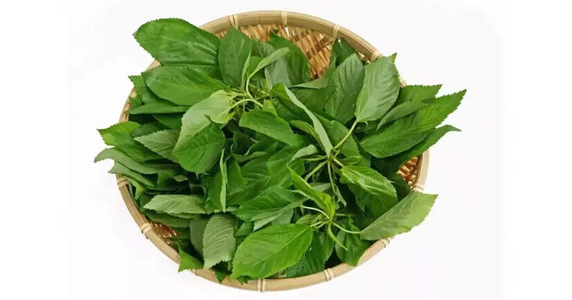 পাট শাকে ক্যালসিয়াম এবং ম্যাগনেসিয়াম পাওয়া যাবে পর্যাপ্ত। নিয়মিত পাট শাক খেলে হাড় ভাল থাকে। বাতের ব্যথা ঠিক করে এই শাক!photo source collected 