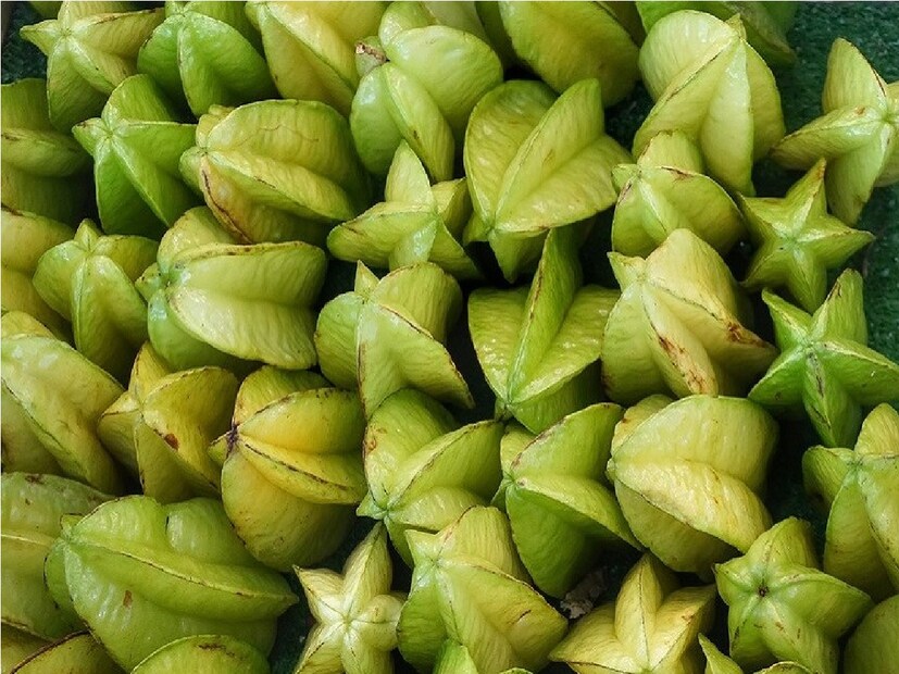 কামরাঙাতে  কোয়েরসেটিন, গ্যালিক অ্যাসিড এবং এপিকেটচিন সহ স্বাস্থ্যকর উদ্ভিদ যৌগের একটি চমৎকার উৎস। এই যৌগগুলির শক্তিশালী অ্যান্টিঅক্সিডেন্ট বৈশিষ্ট্য এবং বিভিন্ন স্বাস্থ্য উপকারিতা রয়েছে।