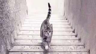 অপটিক্যাল ইলিউশনের এই ছবিই বলে দেবে আপনার ব্যক্তিত্ব