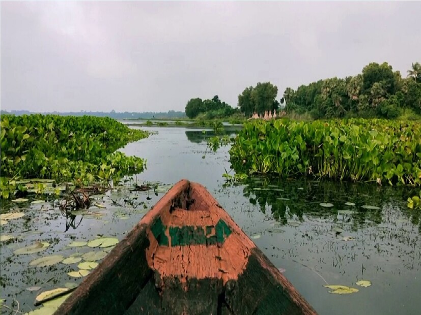 *পূর্বস্থলী ২ ব্লকের চুপির ছাড়ি গঙ্গায় তিন দশকেরও বেশি সময় ধরে উত্তর এশিয়া, ইউরোপ, সাইবেরিয়া, তিব্বত সহ বিভিন্ন দেশ থেকে আসে পরিযায়ী পাখি। তবে এ বার গ্রীষ্মকালেও দেখা মিলছে বিভিন্ন পাখির। শীতকাল নয় এবার গ্রীষ্মকালেও পাখি দেখতে ভিড় জমাচ্ছেন পর্যটকেরা। ফাইল ছবি।