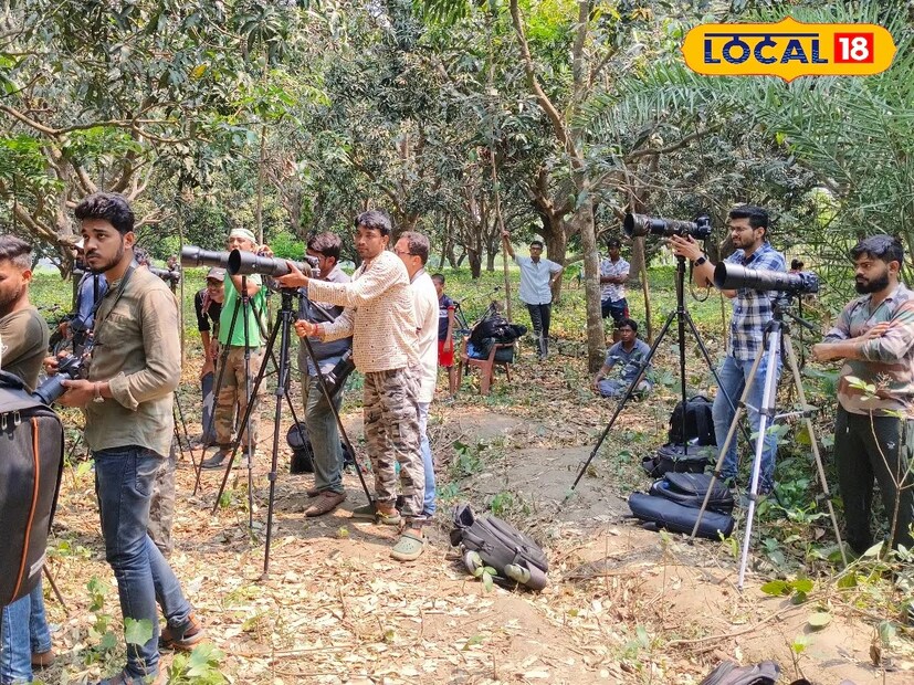 *গ্রীষ্মকালে পূর্বস্থলীতে দেখা মিলছে ব্ল্যাক নেপড মোনার্ক, ইণ্ডিয়ান প্যারাডাইসের মতো পাখিদের। আর দূর্লভ প্রজাতীর পাখির ছবি তুলতে রাজ্যের বিভিন্ন প্রান্ত থেকে ব্যাপক ভিড় করছেন চিত্রগ্রাহক তথা পর্যটকের। ফাইল ছবি। 