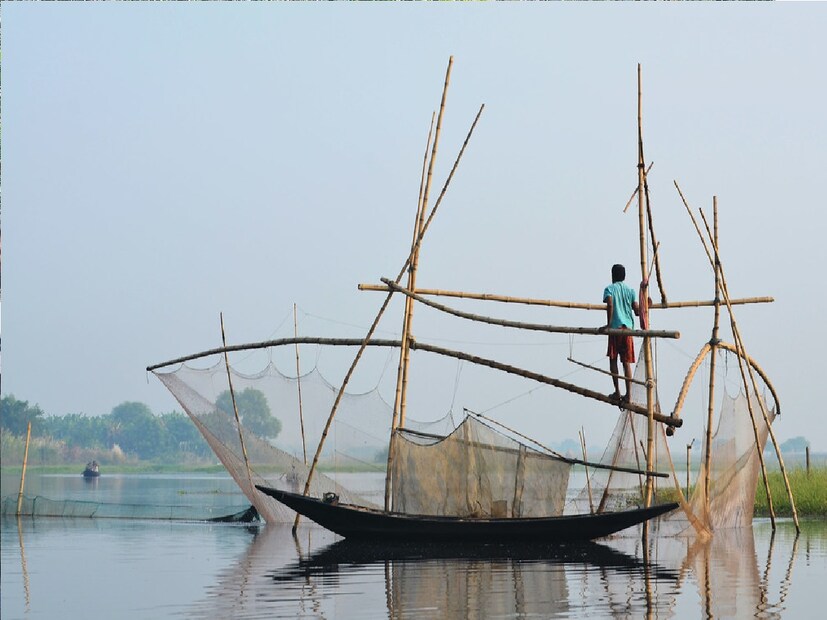 *এ প্রসঙ্গে পূর্বস্থলীর পাখিরালয়ের মাঝি জয়ন্ত প্রামানিক বলেন, &quot;গ্রীষ্মকালীন পাখি এসেছে দেখেই আমাদের কাছ থেকে খবর পেয়েছেন পক্ষী প্রেমীরা৷ তাঁরা বড় বড় ক্যামেরা নিয়ে ছবি তুলতে এসেছেন। আমরা দূর্লভ পাখির সন্ধান দিয়েছি৷&quot; ফাইল ছবি। 
