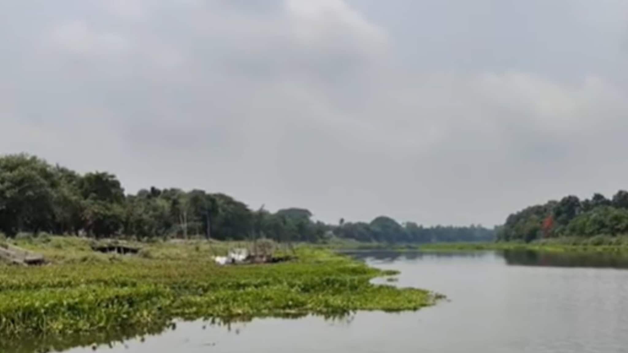 Viral Video: নদীর জলে ওটা কী ভেসে বেড়াচ্ছে? যা আগে দেখা যায়নি, আতঙ্কে স্থানীয়রা
