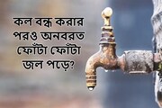 কল বন্ধের পরও অনবরত ফোঁটা ফোঁটা জল পড়ে? প্লাম্বার ছাড়াই ৫ মিনিটে মুশকিল আসান!