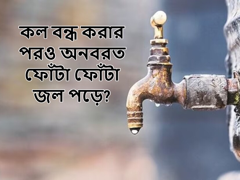 রান্নাঘর হোক বা বাথরুমের ট্যাপ থেকে অনবরত জল পড়ছে৷ এমনকি রাতের বেলা জলের ফোঁটা ফোঁটা শব্দ শুনে ঘুমও ভেঙে যায়। যাইহোক, এই সমস্যাটি বেশ সাধারণ এবং প্রতিটি বাড়িতে কোনও না কোনও সময় দেখা যায়। 