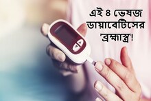 শরীর থেকে শুষে নেয় 'সুগার'!এই ৪ ভেষজ ডায়াবেটিসের 'ব্রহ্মাস্ত্র'! ৭ দিনেই কামাল