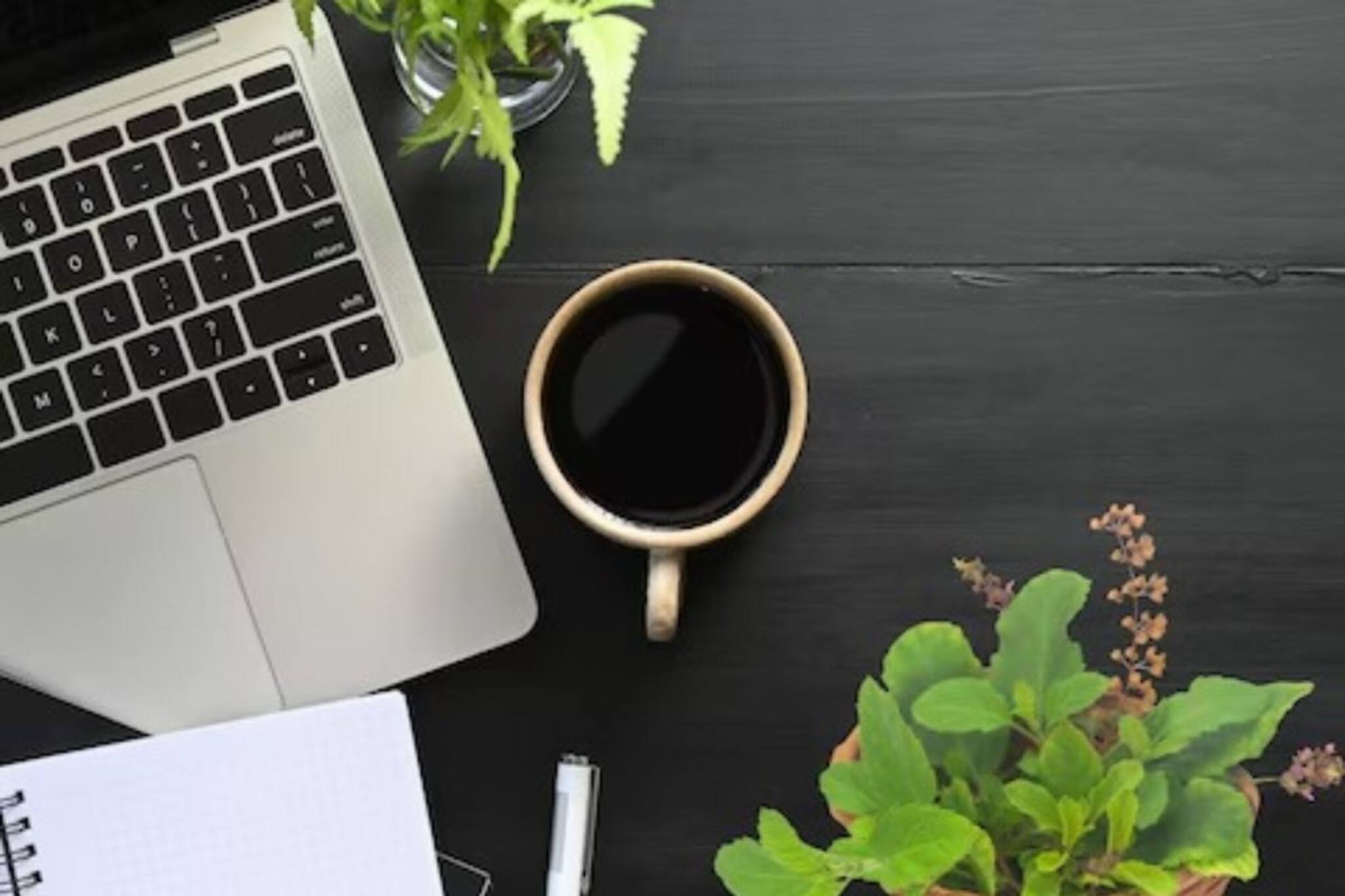 খবরদার...! 'এই' জায়গায় তুলসী গাছ রেখেছেন? চরম আর্থিক সঙ্কটে নিমেষে সব তছনছ!