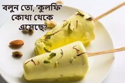 বলুন তো, 'কুলফি' কোথা থেকে এসেছে? ৯৯% মানুষই সঠিক উত্তর দিতে গিয়ে হিমশিম!