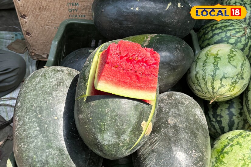 গ্রীষ্মের মরশুমে বাজারে যে ফলগুলির দেখা মেলে তাদের মধ্যে অন্যতম হল তরমুজ। বিভিন্ন পুষ্টিগুণ এ সমৃদ্ধ এই ফলটির চাহিদাও থাকে বেশ ভালো মতন। গরমের সময় সহজেই বাজারে দেখা যায় লাল রং এর তরমুজ। 