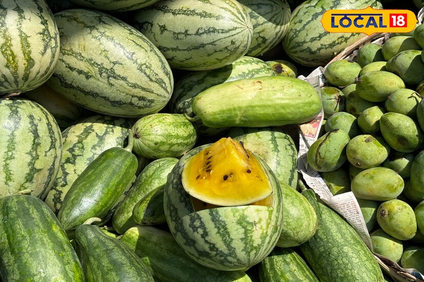 ওই ফল বিক্রেতা আরও জানিয়েছেন,এটা একটা আলাদা প্রজাতির তরমুজ।তবে লাল তরমুজের সঙ্গে এর বিশেষ কোনও ফারাক নেই। দুটো একই। 