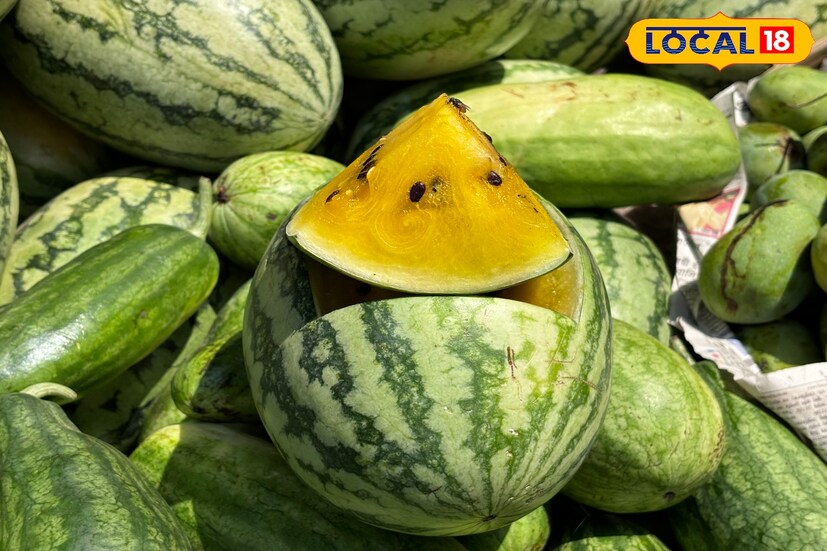 কিন্তু এবার পূর্ব বর্ধমানে মিলছে হলুদ রঙের তরমুজ। যা ইতিমধ্যেই বেশ জনপ্রিয় হয়ে উঠেছে ক্রেতাদের কাছে। পূর্ব বর্ধমান জেলার কাটোয়া শহরের ষ্টেশন বাজারে বিক্রি হতে দেখা গিয়েছে এই তরমুজ। 