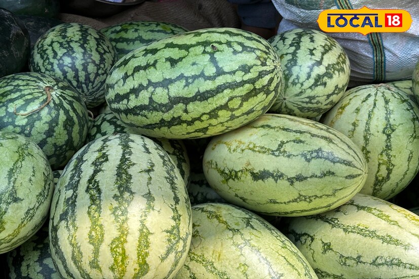 ফল বিক্রেতাদের কাছ থেকে জানা গিয়েছে, এই তরমুজ গুলি ঝাড়খন্ড উত্তরপ্রদেশ থেকে আমদানি করা হচ্ছে। জয়দেব দাস নামের এক ফল বিক্রেতা বলেন, &quot;আমি ২৪ বছর ব্যবসা করছি। আগে কোনওদিন এরকম তরমুজ দেখিও নি, বিক্রিও করিনি&quot;।