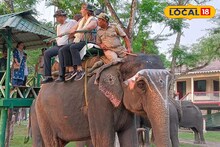 ডুয়ার্সের জঙ্গল দর্শনে ফরাসি রাষ্ট্রদূত, পরিদর্শন শেষে যা বললেন...