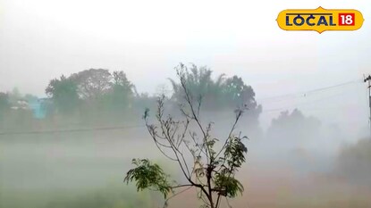 সকালে কুয়াশার চিত্র