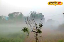 আচমকা কুয়াশায় ঢাকল চারিদিক, কী মারাত্মক দৃশ্য! অশোকনগরে অবাক কাণ্ড