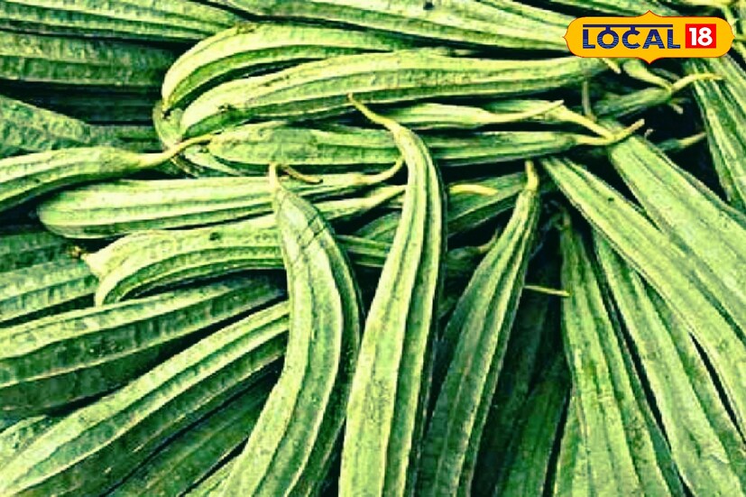 ঝিঙে রান্না করার সময়ে যে পরিমাণ জল বেরোয়। তাতে খুব সহজেই বোঝা যায় এতে কতটা পরিমাণ জল থাকে। গ্রীষ্মকালীন সময়ে নানা শারীরিক সমস্যার ঝুঁকি কমাতে দারুণ উপকারী ঝিঙে।