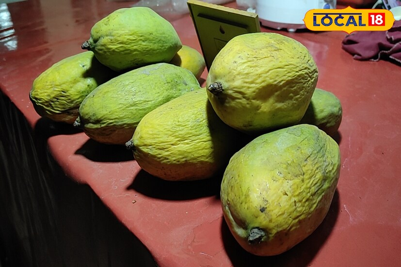 আর এমন একটি জুসের দোকানের সূচনা হয়েছে পুরুলিয়া শহরের গোশালা মোড়ে। আর সেখানেই একেবারে কম দামে অরিজিনাল আমের জুস পাওয়া যাচ্ছে।