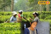 উচ্চ মাধ্যমিকে নজর কাড়া সাফল্যের পরও বিরাট বাধা! আদৌ কি স্বপ্নপূরণ হবে শম্পার?