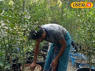 উন্নত