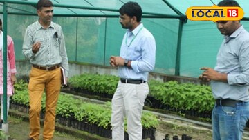 উচ্চমাধ্যমিকের