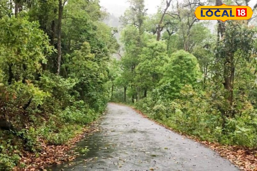 এনজেপি রেল স্টেশন কিংবা বাগডোগরা বিমানবন্দর থেকে কালিঝোড়া হয়ে সামথার ফরেস্ট পেরিয়েই পৌছে যাবেন চারখোল। রাস্তা বেশ সুন্দর। সময় লাগে মাত্র ২ ঘন্টার মতো। কালিম্পং বাজার থেকে শেয়ার গাড়ির ব্যবস্থা আছে। এনজেপি থেকে রিজার্ভ গাড়ি করলে খরচ হনে ৩৫০০ টাকা । 