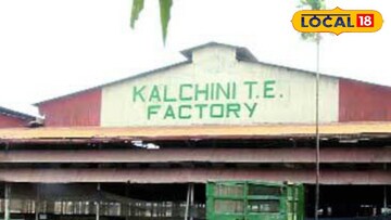 কালচিনি