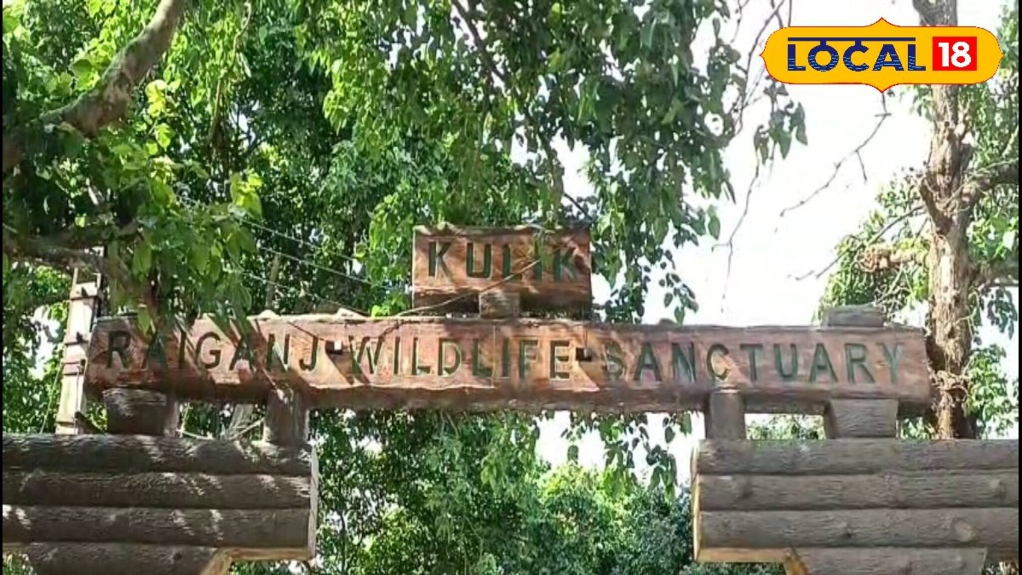 কমছে পাখির সংখ্যা, গুরুত্ব হারাচ্ছে কুলিক পাখিরালয়