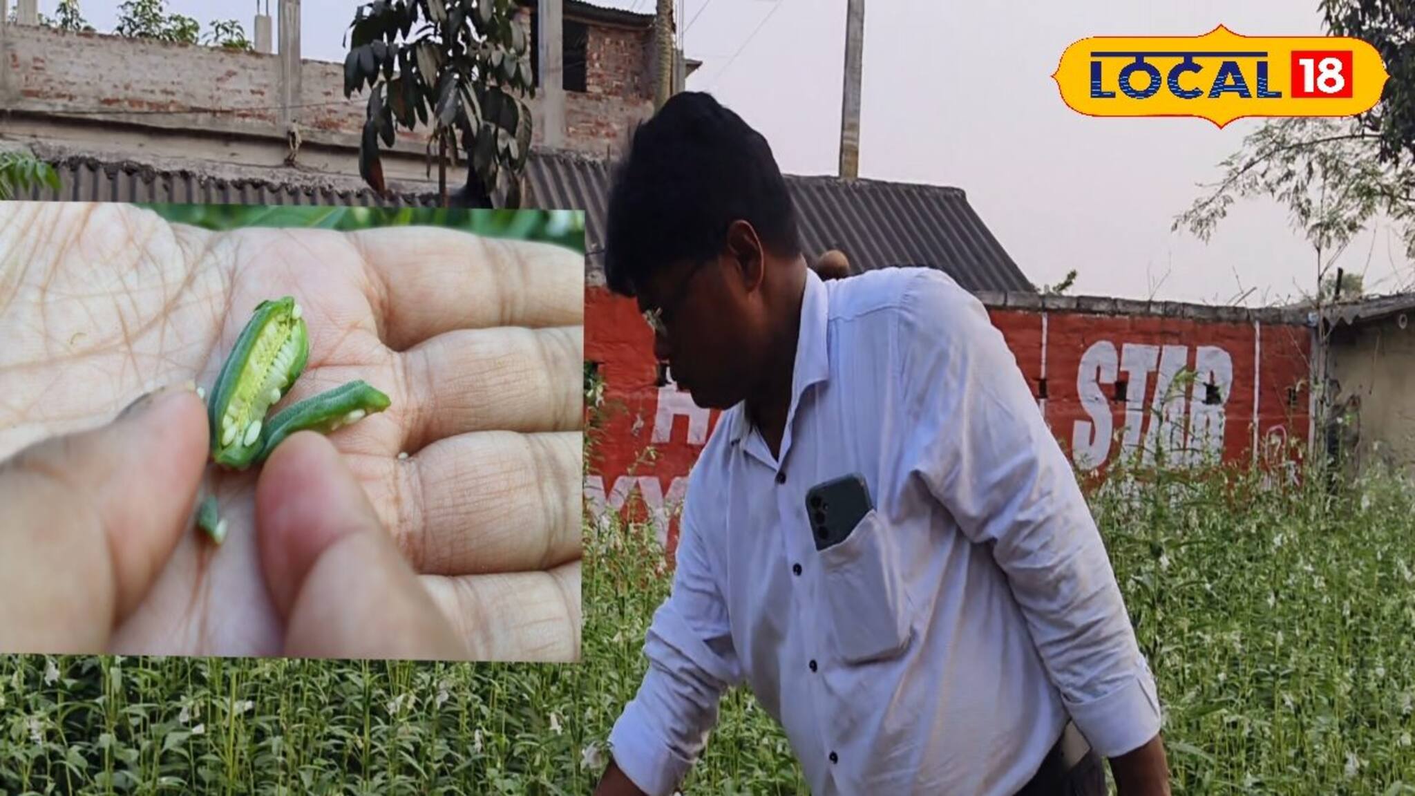 পাটের জমিতে তিল চাষ করে চমক শিক্ষকের! ইউটিউব ভিডিও এনে দিল সাফল্য