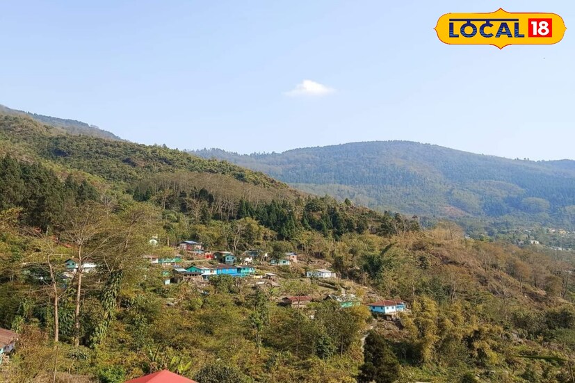 এখান থেকে কাছেই এই জলসা ভিউ পয়েন্ট। একবার দেখে আসতে পারেন। ১৯৩০ সালের সেই জলসা বাংলো আজও আছে। কাঠের বাংলো যেন অতীত দিনের ফেলে আসা কথা বলে পর্যটকদের।