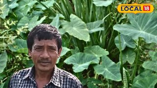 কৃষক মানু ঘোষ