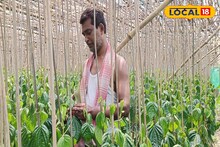 ক্ষীর খেয়ে যাচ্ছে ফোড়েরা, ভোটের মুখে পানের ন্যূনতম মূল্য নির্ধারণের দাবি
