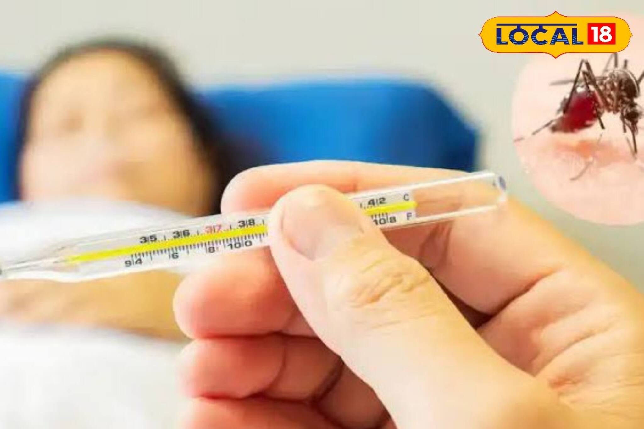 বর্ষার আগে ত্রাহি ত্রাহি রব!ডেঙ্গি ক্রমশ মাথাব্যথার কারণ হচ্ছে,কোথায় কী অবস্থা?