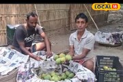 গাছে আম নেই, ফিরে যাচ্ছে পাইকাররা