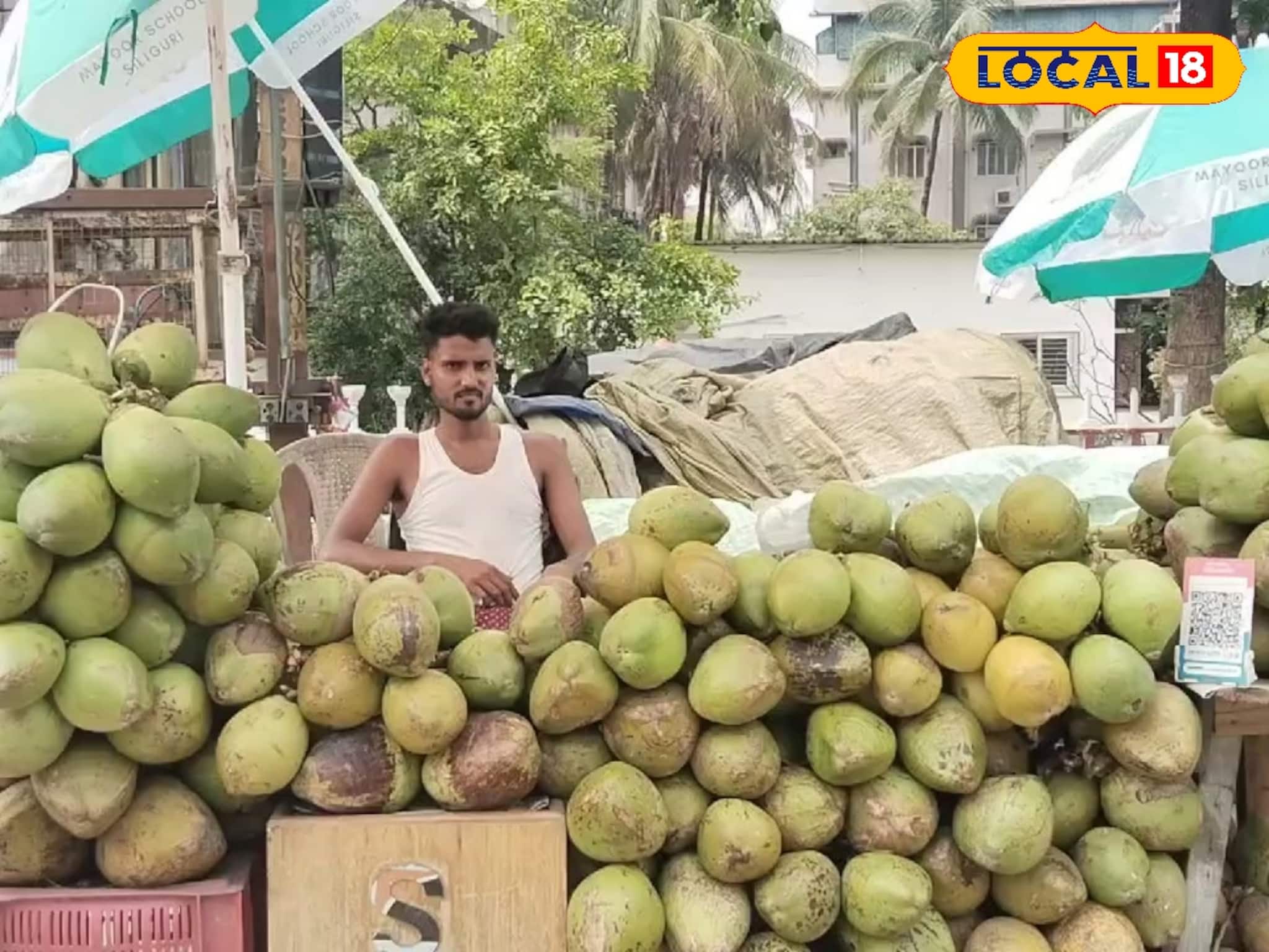 ডাব খাওয়ার গুণ অনেক, কিন্তু এই শহরে কিনতে গেলে পকেট ফাঁক হয়ে যাচ্ছে