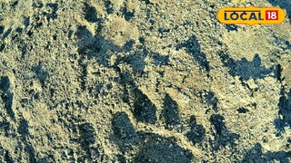 প্রতিকী ছবি প্রতিকী ছবি