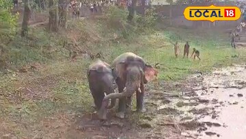 ঝাড়গ্রামে