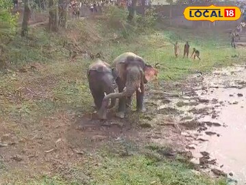 ঝাড়গ্রামে